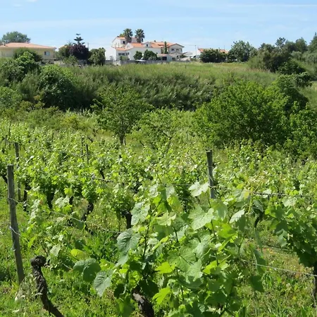 Farm Holidays Silvercoast בית נופש