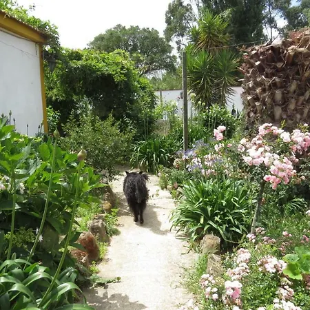 Farm Holidays Silvercoast קלדס דה ריינה