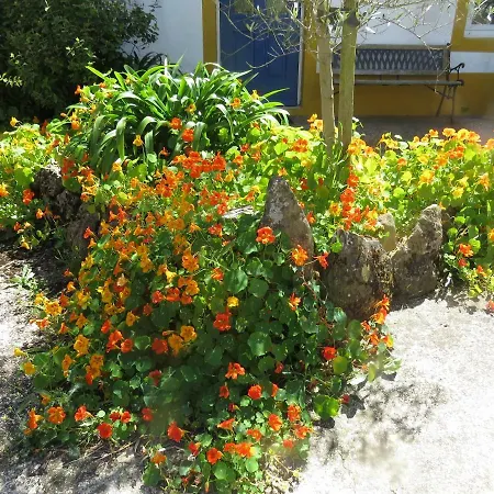 Farm Holidays Silvercoast בית נופש *