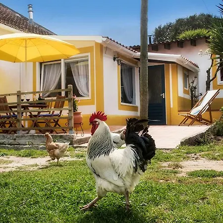 Farm Holidays Silvercoast * קלדס דה ריינה
